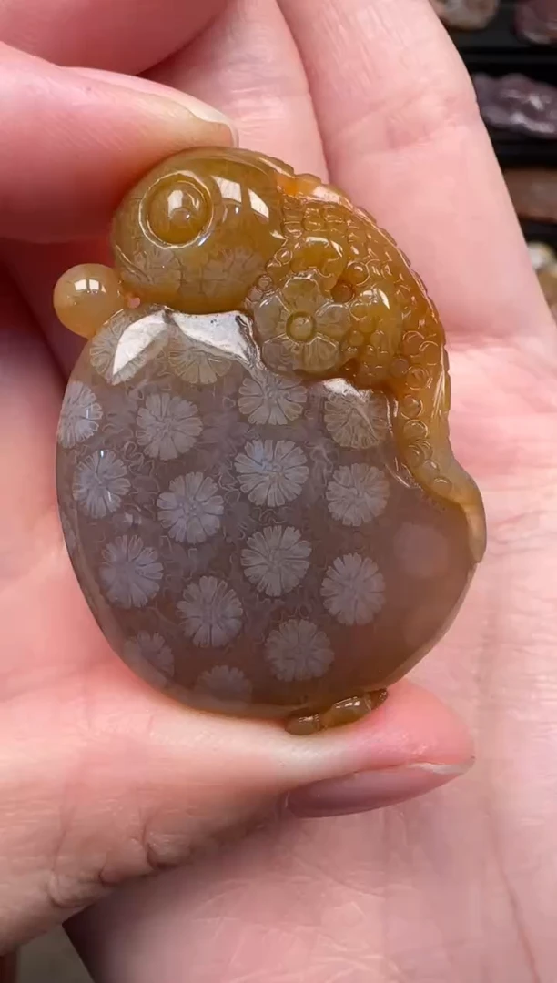 颈饰未镶嵌硅化珊瑚（珊瑚玉）393