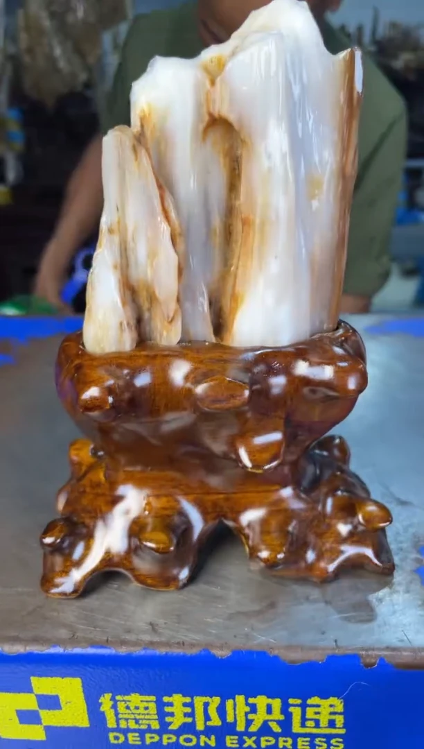 未镶嵌摆件硅化玉2