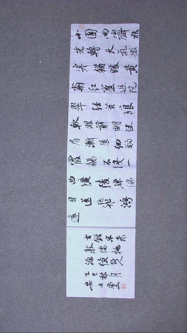 书法安文玺 甘肃武威138*34四平尺