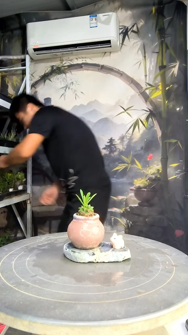 风*中青园艺一物一拍189