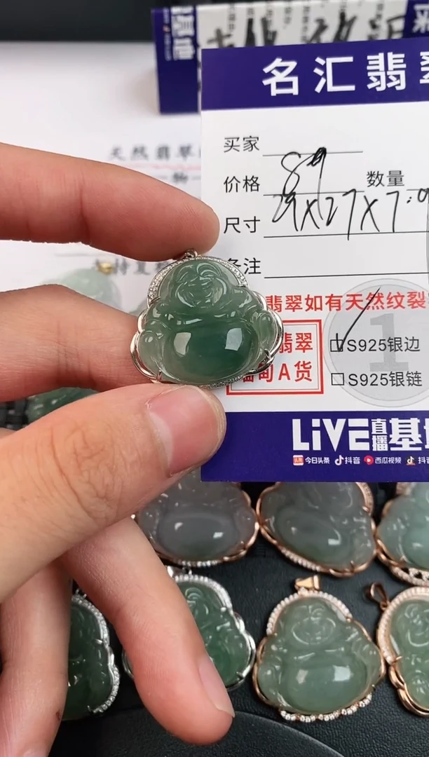 翡翠银S925镶嵌颈饰·