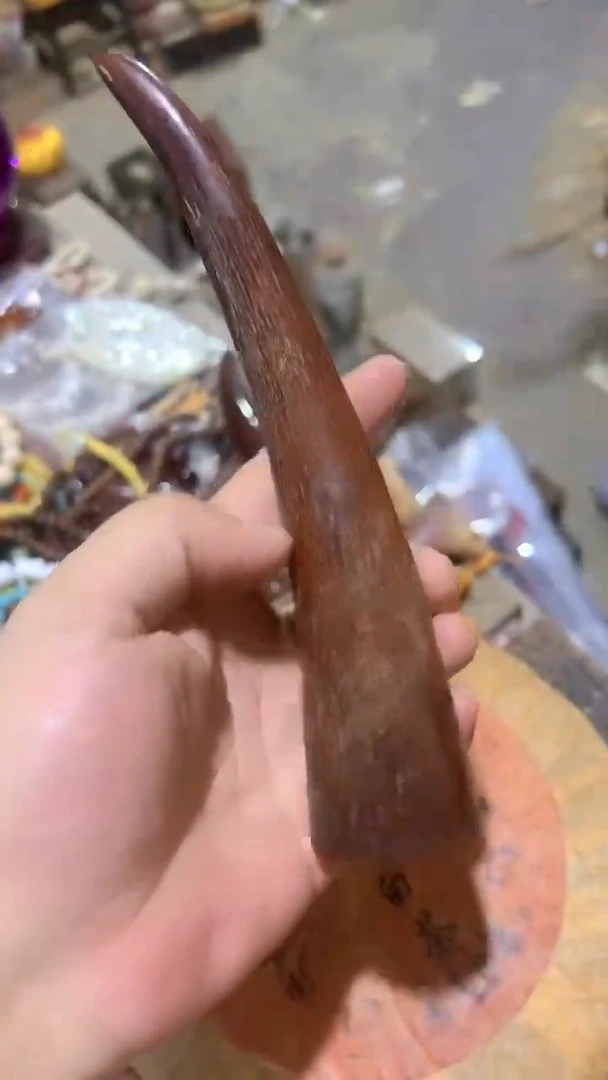 紫砂紫砂紫砂紫砂