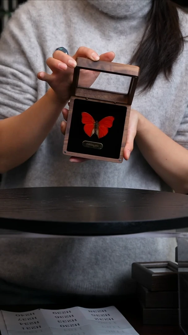 血漪蛱蝶胡桃木盒子款