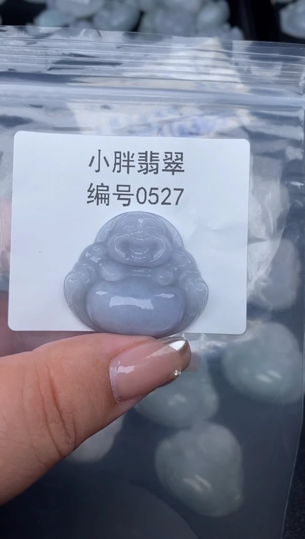 翡翠未镶嵌颈饰缅甸天然A货翡翠0527