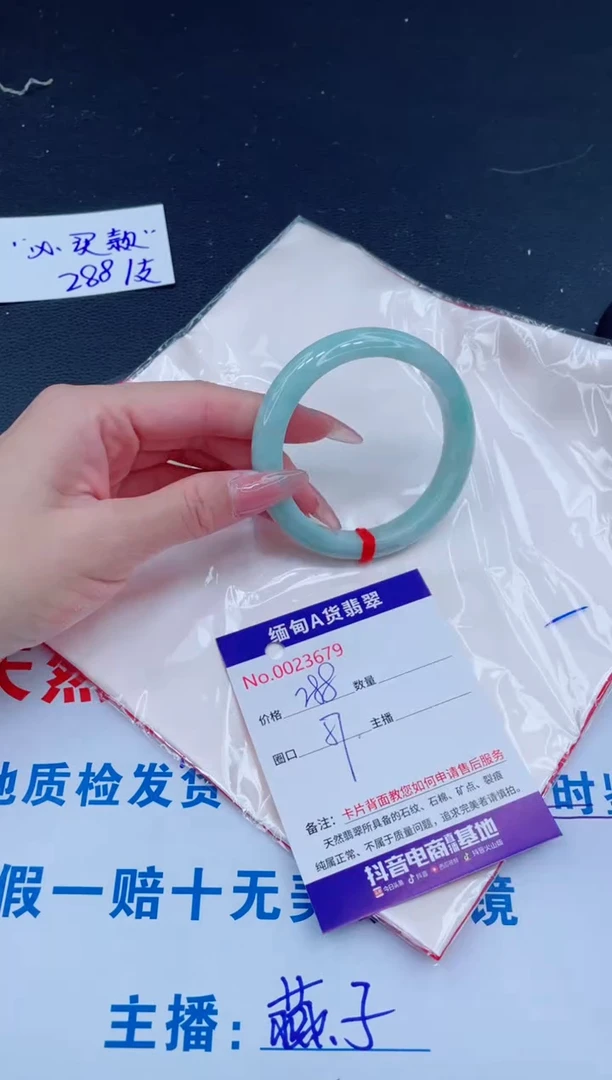 未镶嵌手镯翡翠