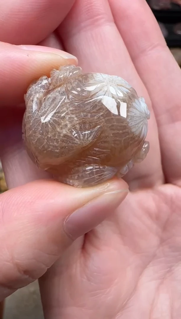 颈饰未镶嵌硅化珊瑚（珊瑚玉）603