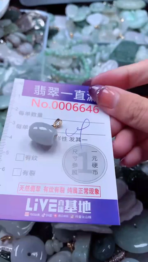 翡翠未镶嵌吊坠(不含链)6646
