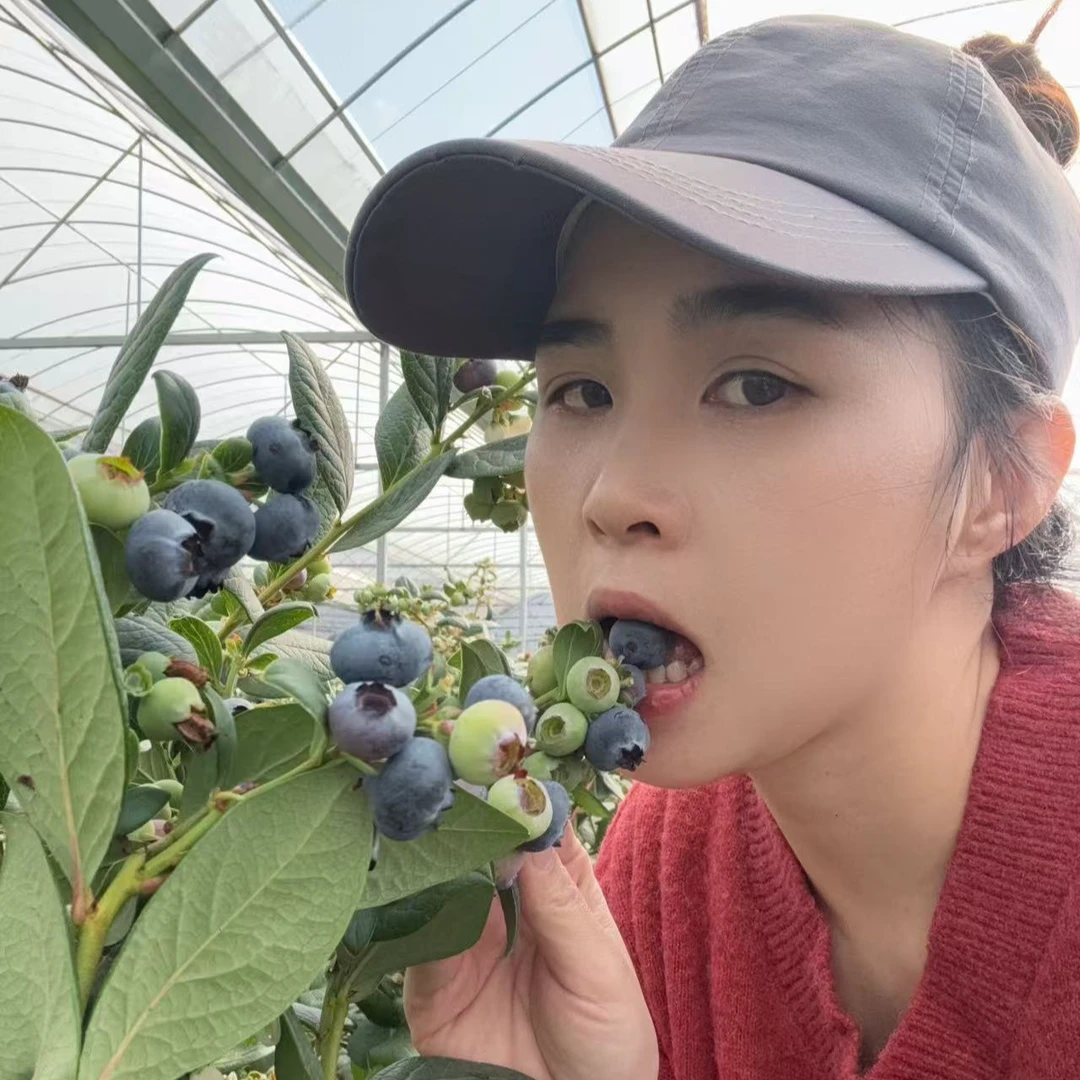 （林姐自卖）云南高山花香蓝莓 脆甜可口 花香浓郁 顺丰空运