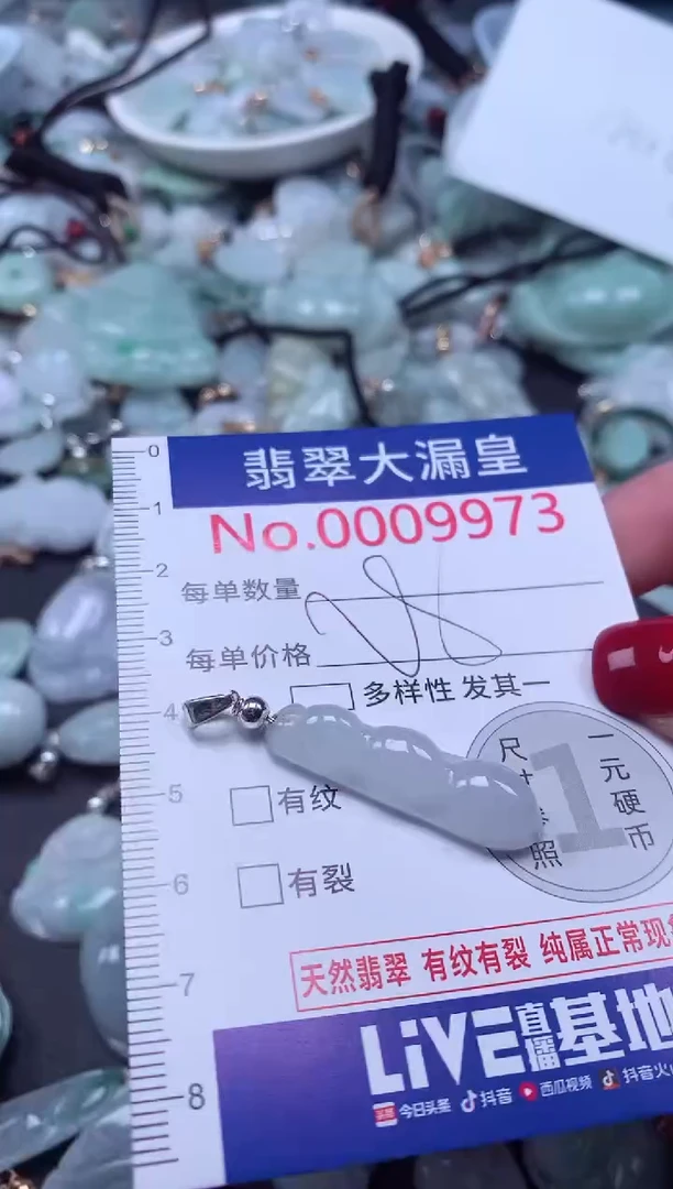 颈饰未镶嵌翡翠9973