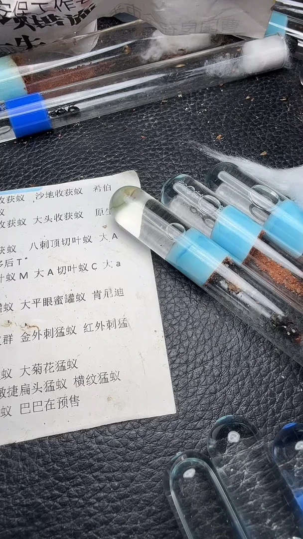 蚂蚁工坊红足0.1
