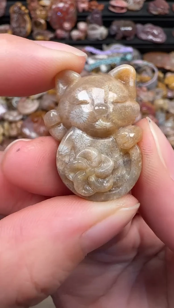 颈饰未镶嵌硅化珊瑚（珊瑚玉）746
