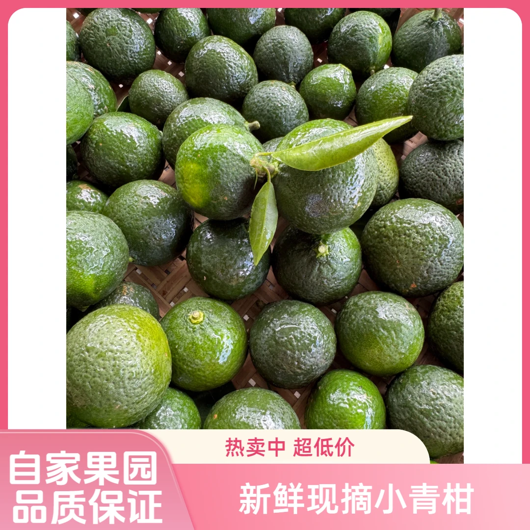 新会2025年东甲原枝二红鲜果