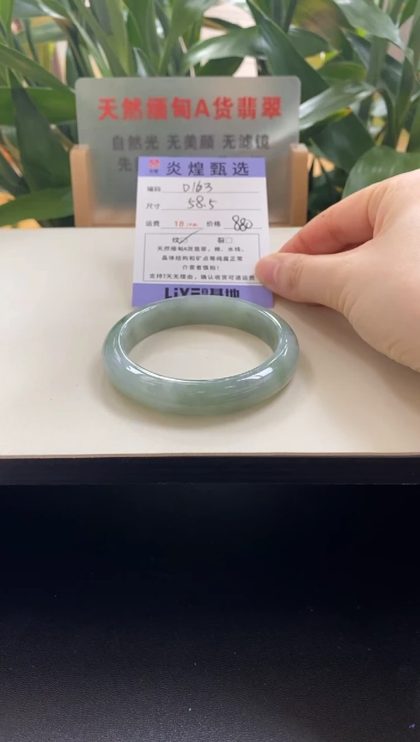 未镶嵌手镯翡翠圈口58.5编码d163