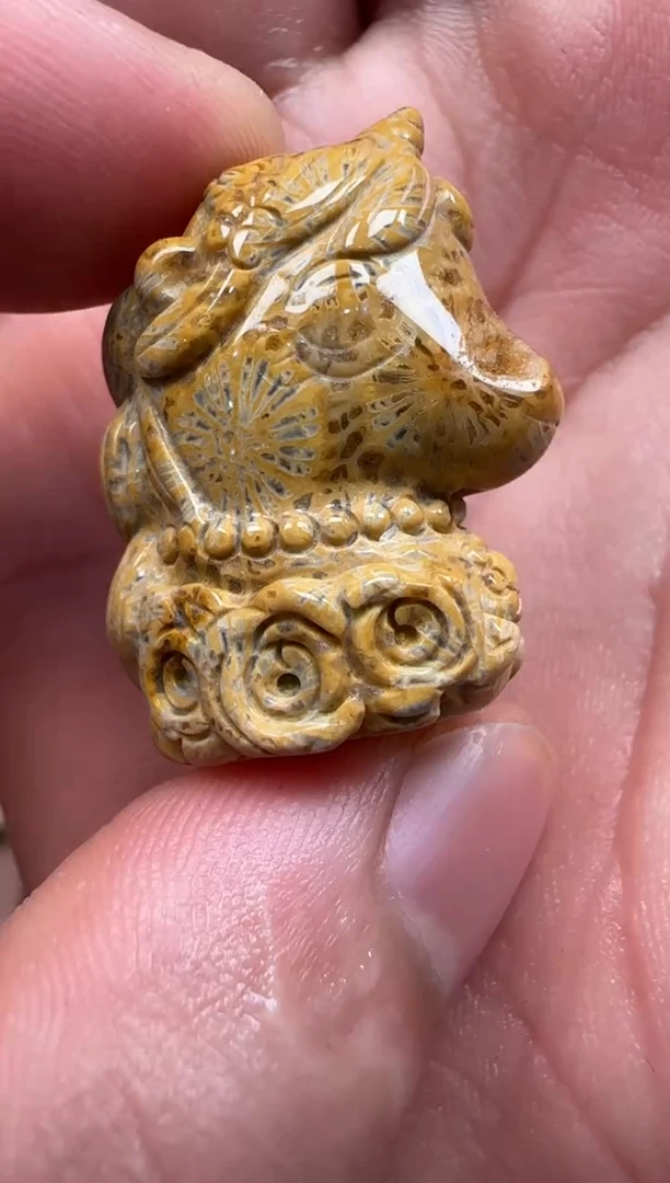 【闪购商品】硅化珊瑚（珊瑚玉）颈饰未镶嵌549