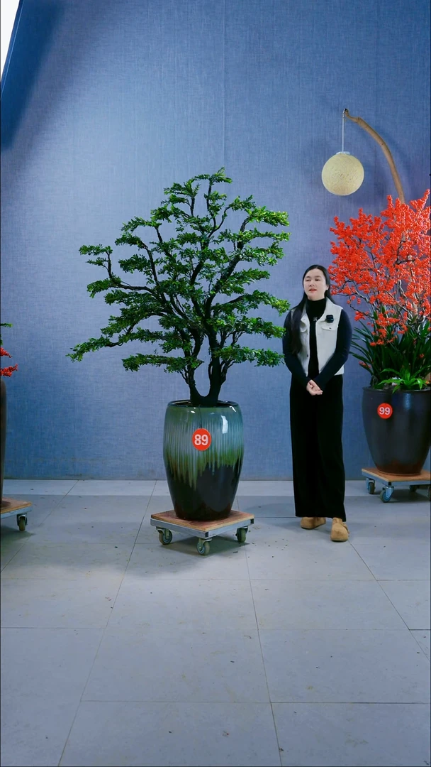 无花朵89号盆链接