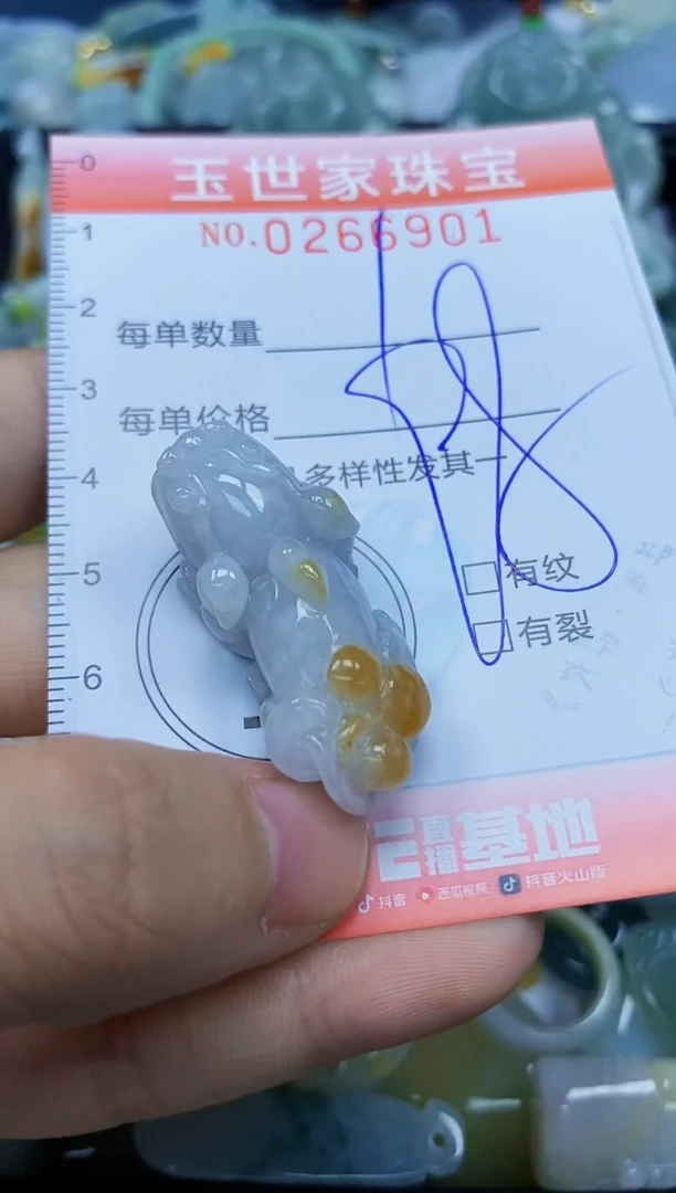 翡翠未镶嵌颈饰闪购0266901