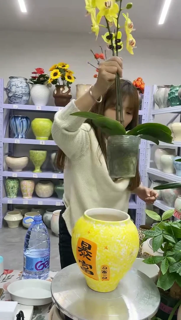 11.14陶瓷花盆直播链接高.      22口11