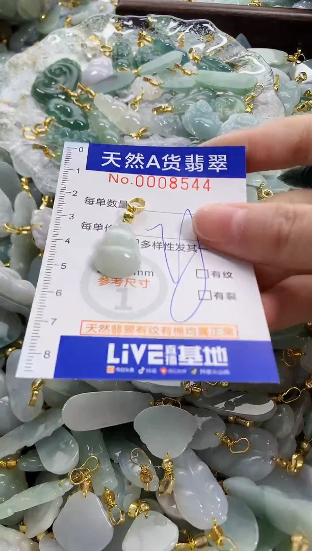 颈饰未镶嵌翡翠天然A货翡翠