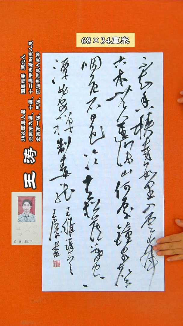 书法51R王涛书法作品