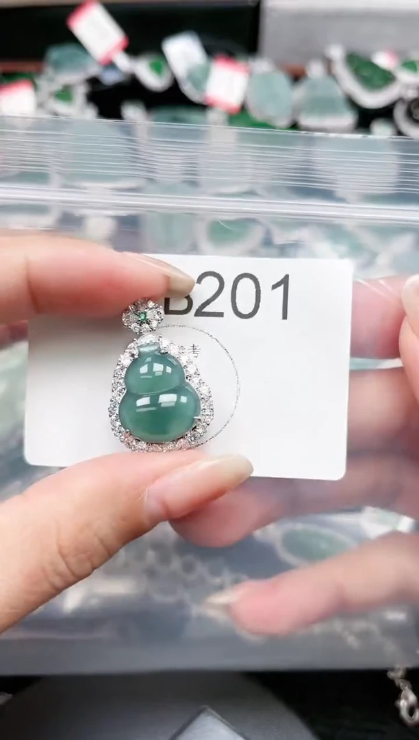 【闪购商品】翡翠颈饰未镶嵌201赠皮绳