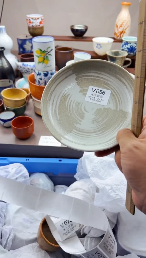 瓷片          V056