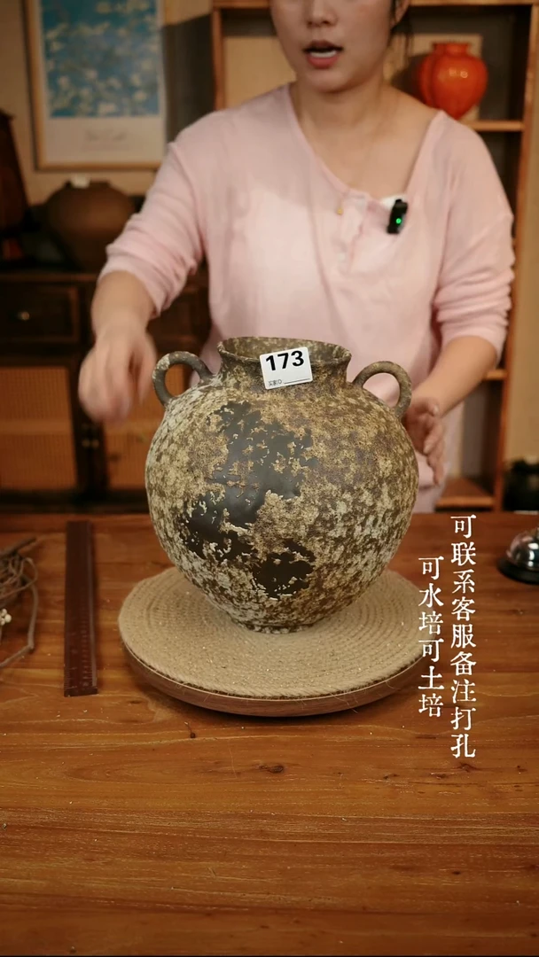 摆件173棕色双耳大肚瓶可水培可土培