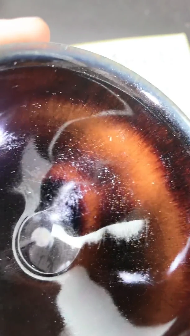 【闪购商品】茶盏139