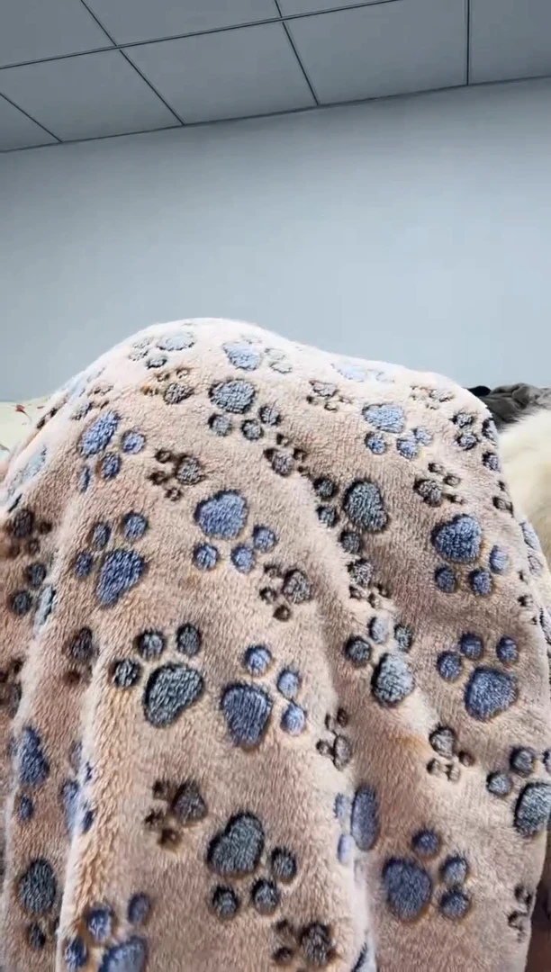 法兰绒2.6x1.6面料尺寸主播介绍为准