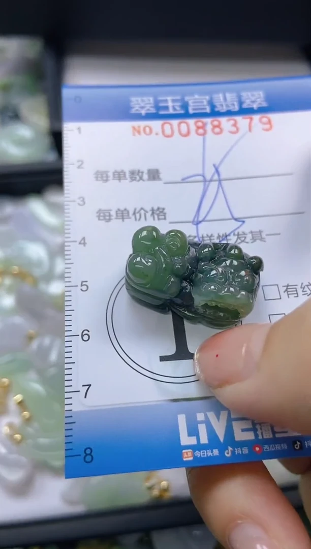 【闪购商品】翡翠颈饰未镶嵌闪购0088379
