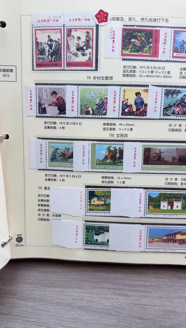 T9   女教师  不带厂铭