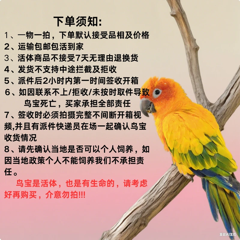 （基地连接直播挑选）断奶活体手养鹦鹉 [一物一拍]