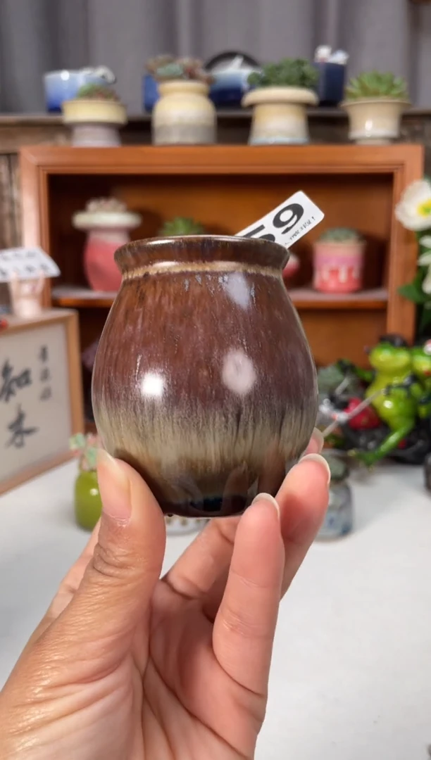 瓷片959小芳直播编号