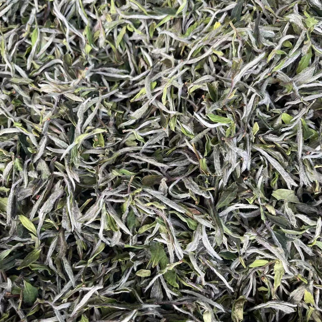 【雪甜】老枞牡丹2025年  高海拔产区