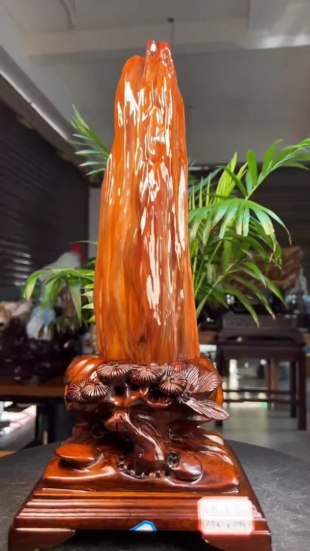 未镶嵌硅化玉（树化玉）珠宝奇石1122