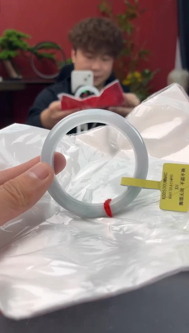 未镶嵌手镯翡翠5