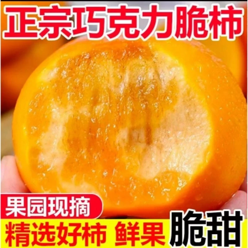 GG正宗巧克力应当季柿子新鲜脆柿子新鲜水果脆甜脆柿子整件柿子