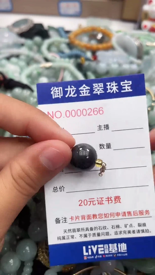 翡翠未镶嵌颈饰054