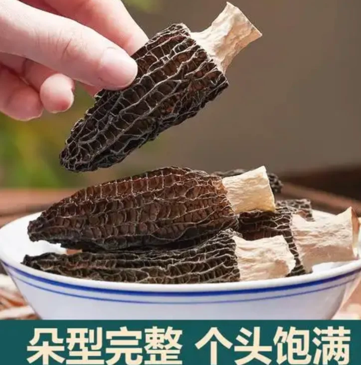 【二丫菌菇】头茬羊肚菌六妹品质 高山货 肉质肥厚 煲汤鲜货