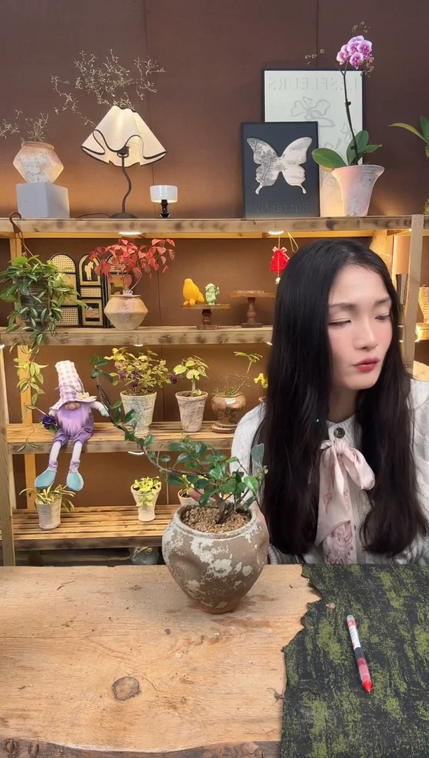 无花朵325福建茶加盆一套