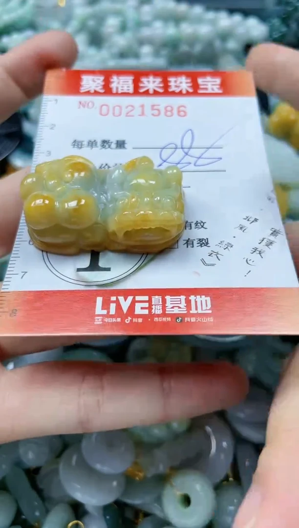 【闪购商品】翡翠颈饰未镶嵌闪购0021586