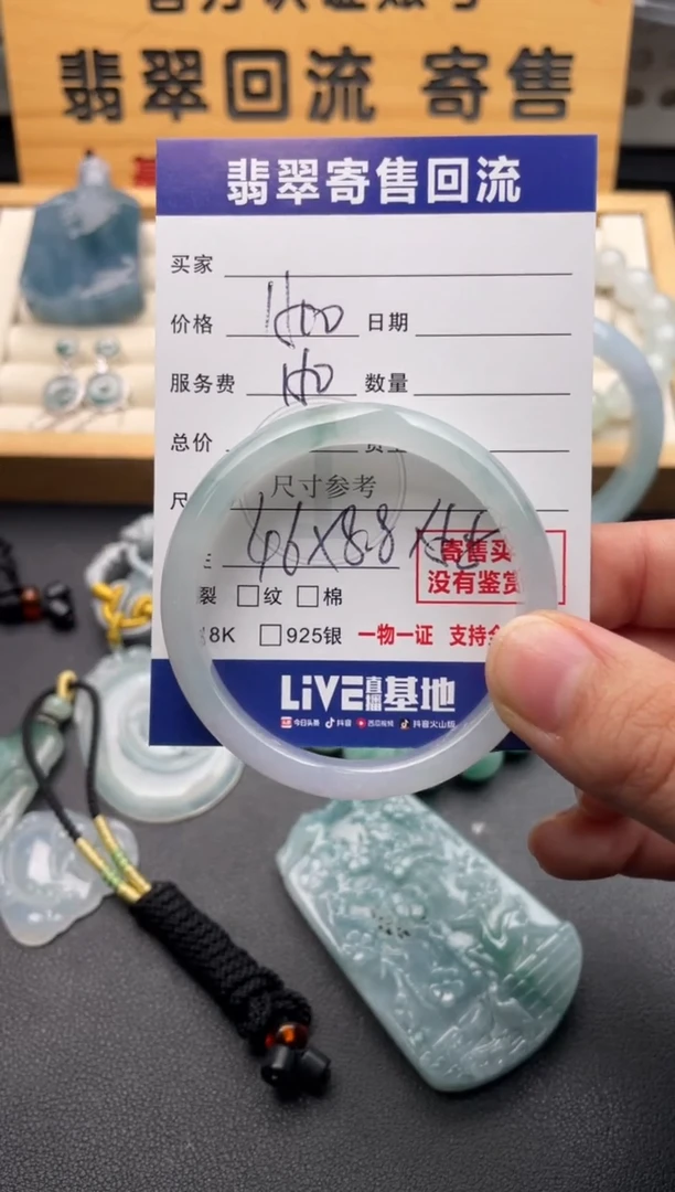 未镶嵌手镯翡翠10146849