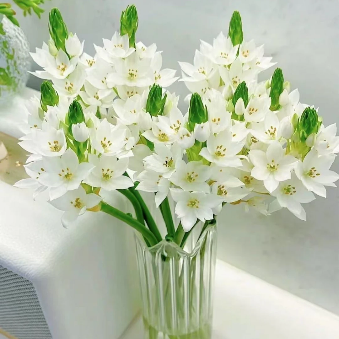 雀梅~家庭插花（任满3单包邮）10%不售后