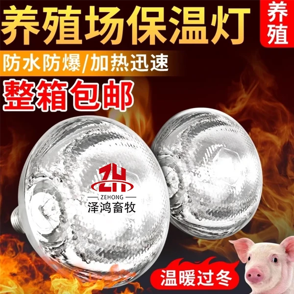 保温灯猪用保温灯取暖灯养殖专用加厚加热灯泡兽用灯泡小鸡保温灯