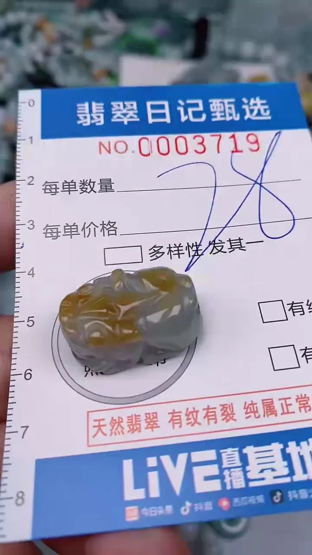 【闪购商品】翡翠颈饰未镶嵌00003719