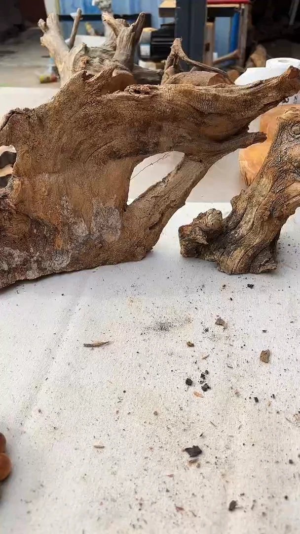 柏木（崖柏）老*太行崖柏摆件