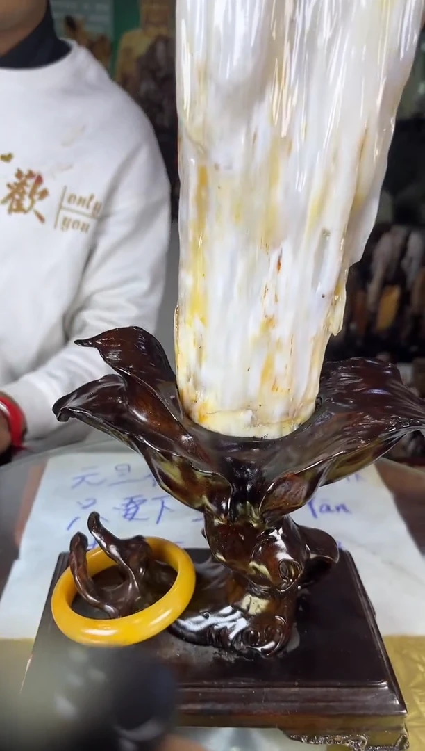 未镶嵌珠宝奇石硅化玉缅甸天然树化玉精品居家摆件