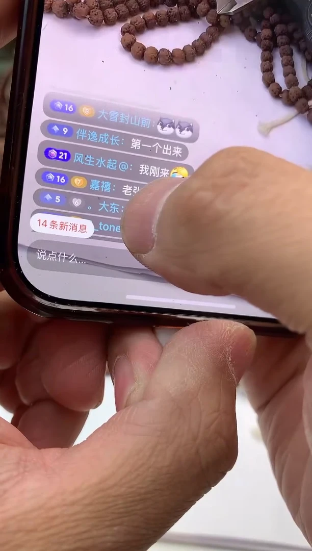 金刚菩提手串5111111111