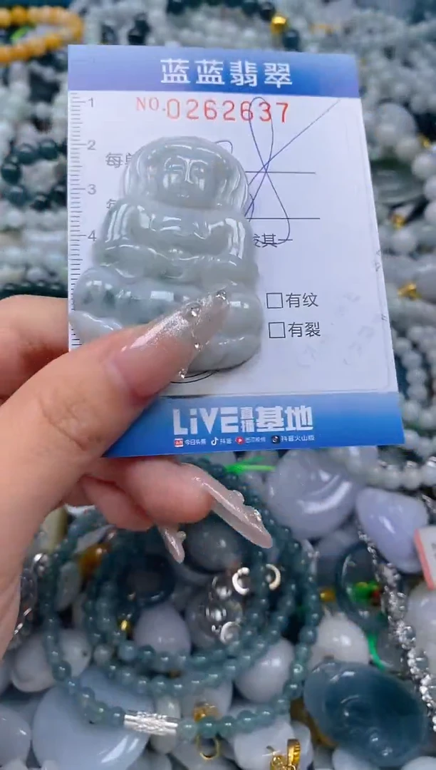 翡翠未镶嵌颈饰闪购0262637