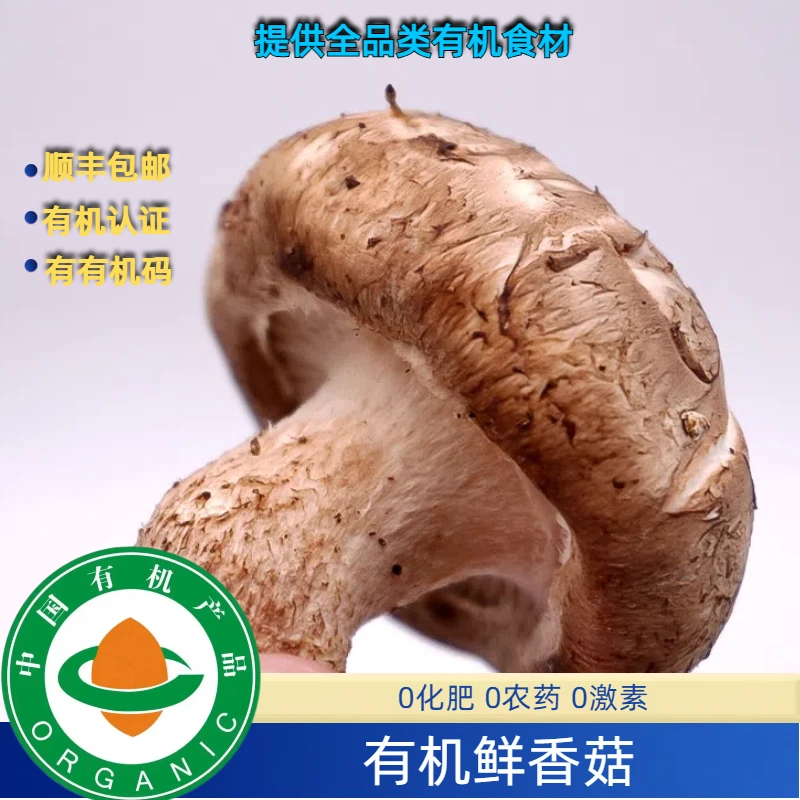 有机鲜香菇2斤装，新鲜营养低卡美味蘑菇高品质味道好无农残
