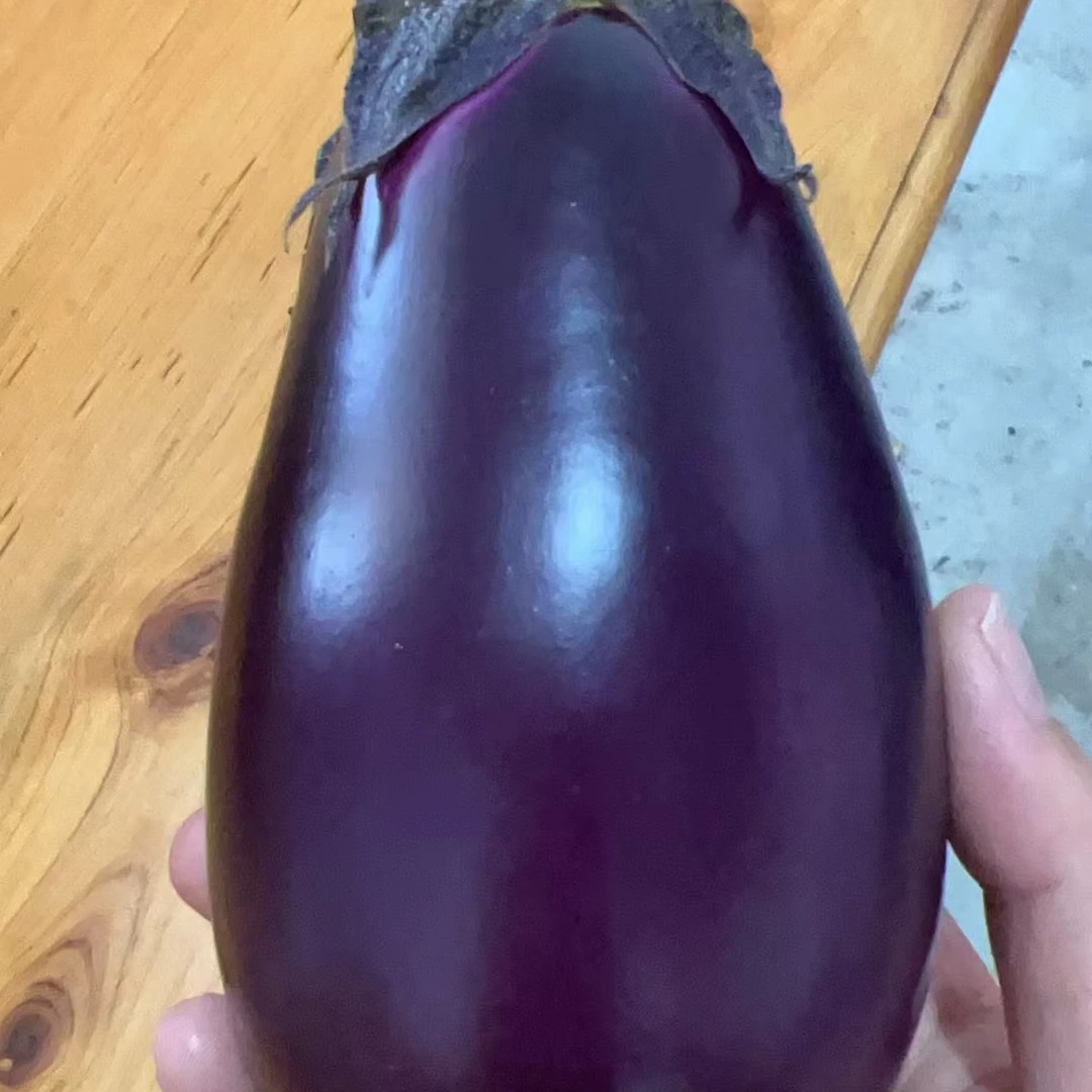 紫茄子 高山露天老乡农家紫茄子净重4.5斤 顺丰包邮